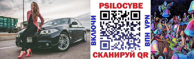 Псилоцибиновые грибы мицелий  закладка  Камешково 